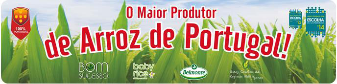 Maior produtor de Arroz